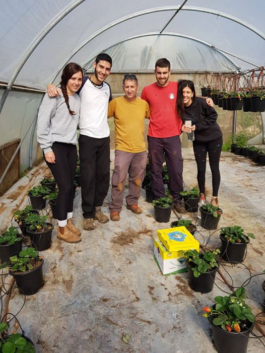 Image may contain: 5 people, people smiling, people standing, plant and outdoor